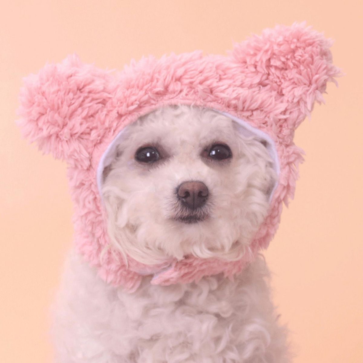 Pet Cartoon Hat Dog Hat Pet Headdress with Bear Ears Gift Pink