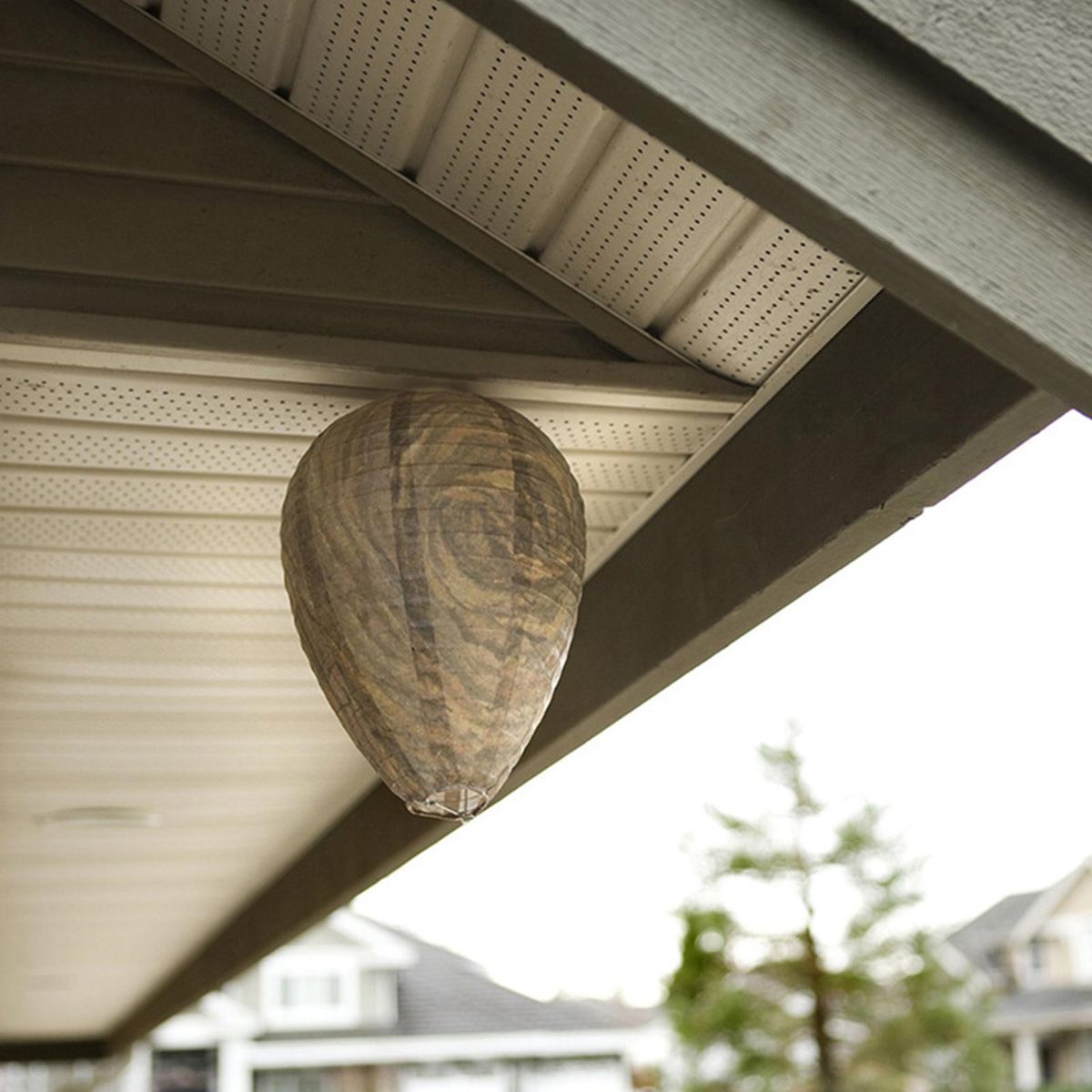 Wasp Nest Lantern Wasp Nest Decoy Waterproof Realistic Wasp Brown