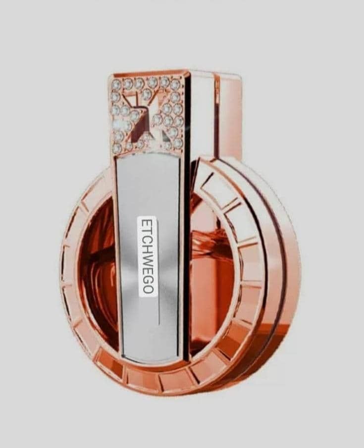 BUSHINECO Car Vent Fragrance Diffuser