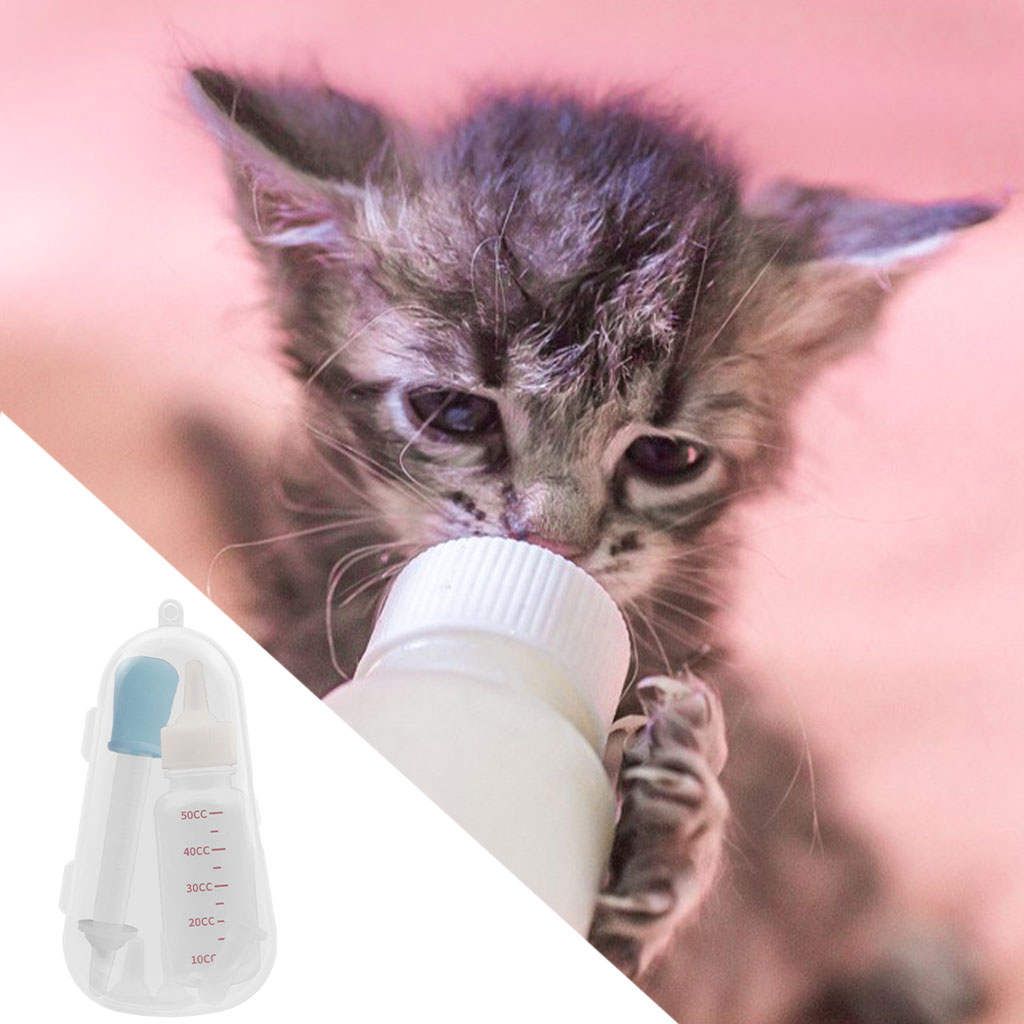 Newborn Cat And   Puppy Kitten  Nursing  Blue