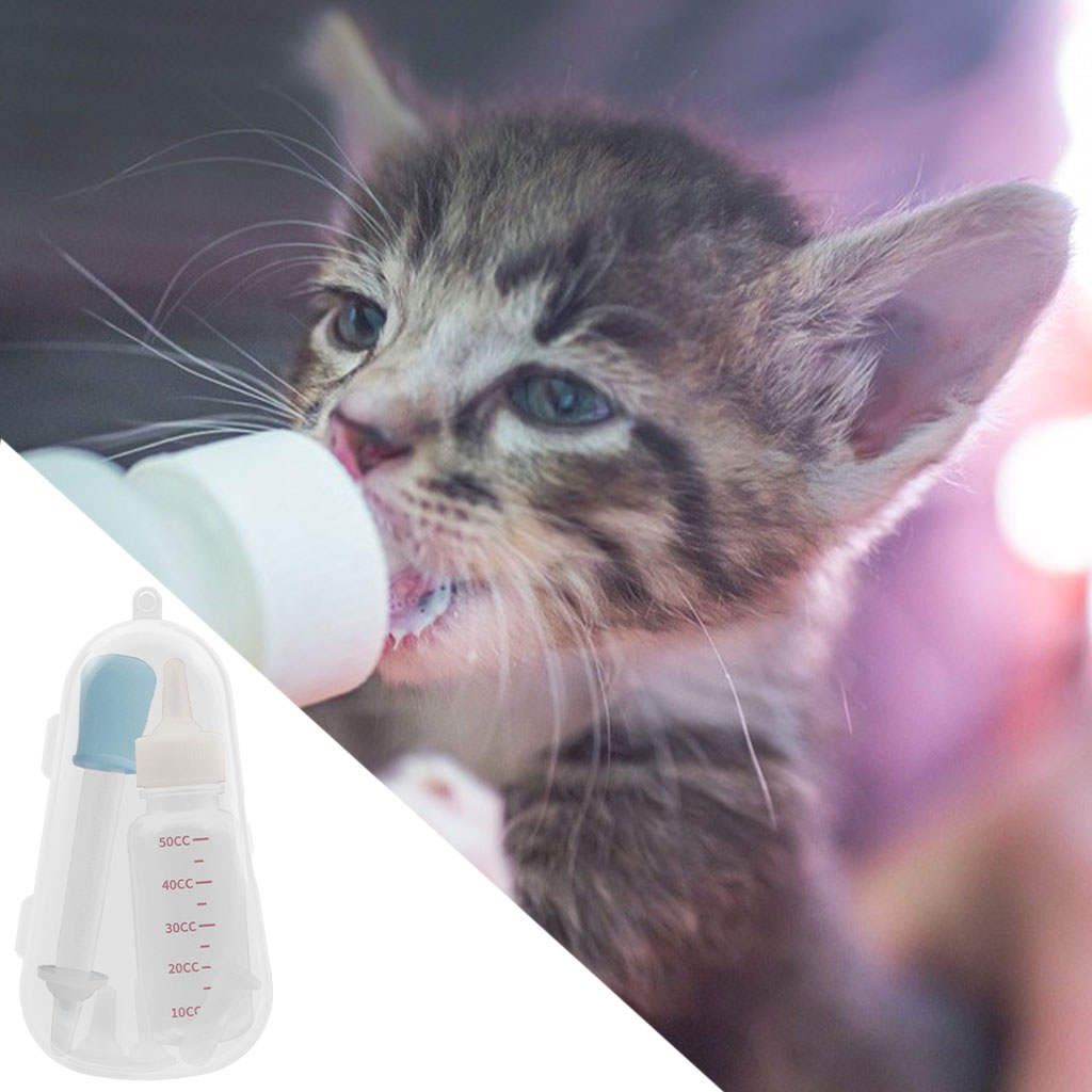 Newborn Cat And   Puppy Kitten  Nursing  Blue
