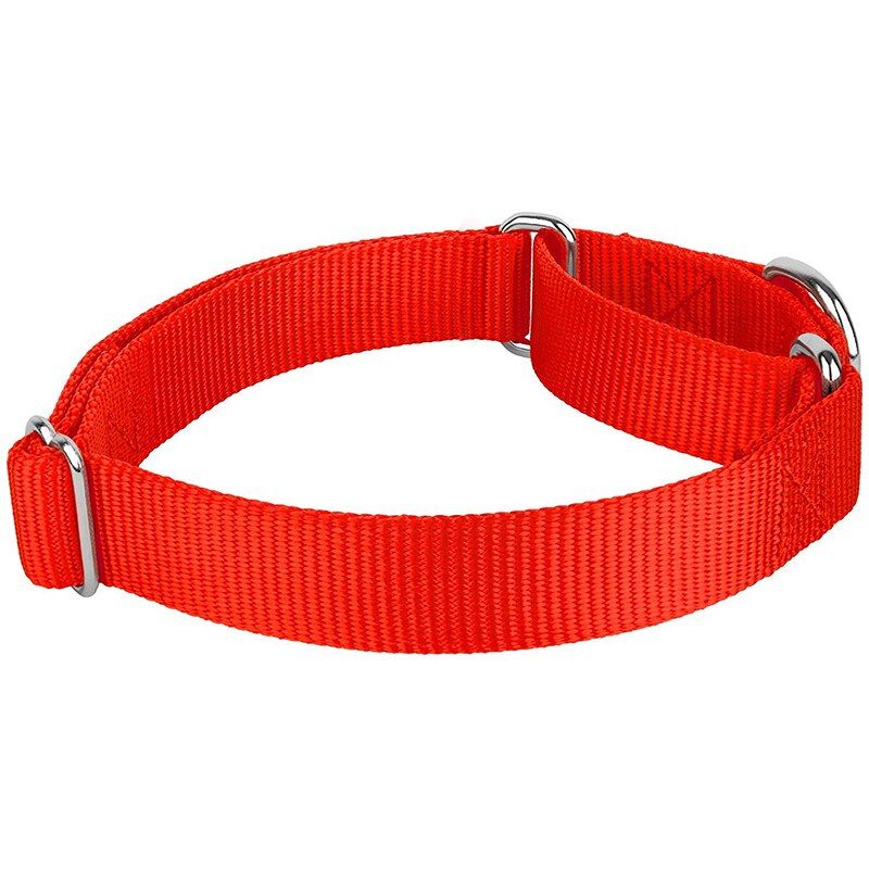 Martingale Nylon Dog Collar For Small Mid And Big Dogs