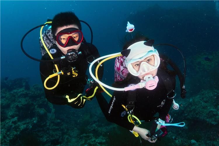Underwater Scuba Diving Spearfishing Diver Sign Free Rope