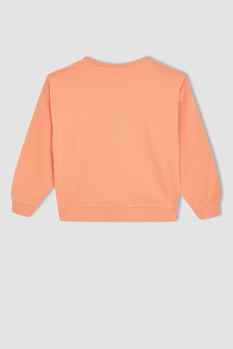 Girl Knitted Regular Fit C Neck Sweat Shirt - Orange
