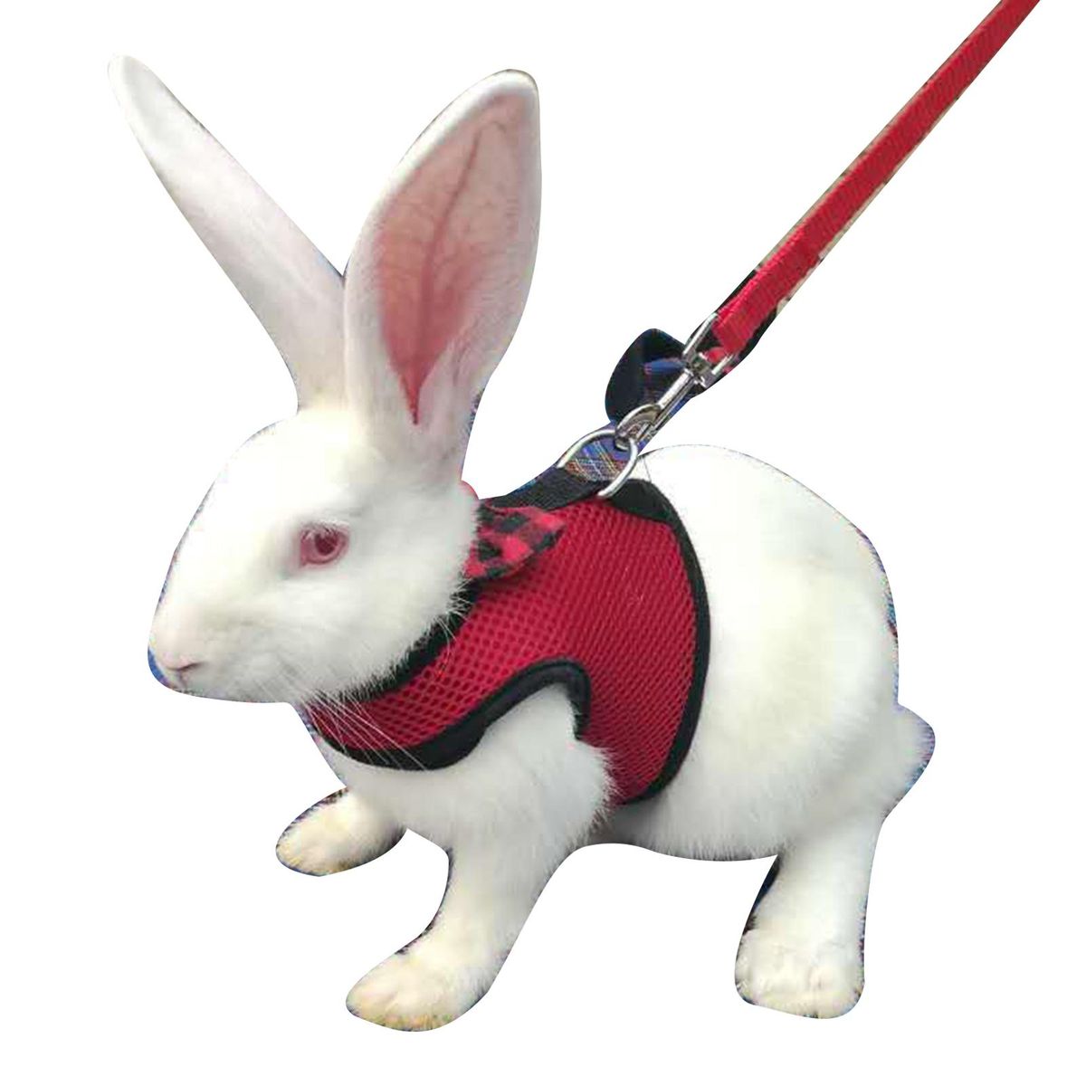 Rabbit Hamster Chest Strap Vest Harness Walking Leash-Red