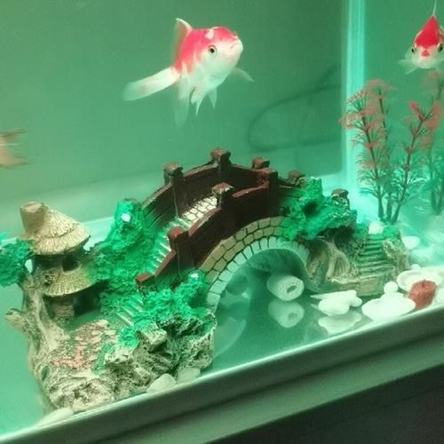Aquarium Fish Tank Vintage Decorative Bridge Landscape Ornaments Pavilion Tree Plants Resin Design Pet Supplies Home Decorations