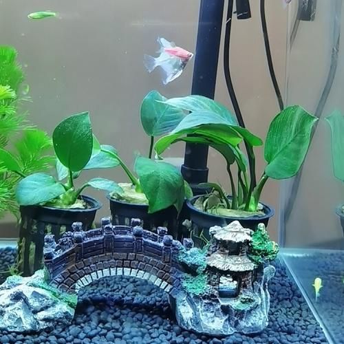 Aquarium Fish Tank Vintage Decorative Bridge Landscape Ornaments Pavilion Tree Plants Resin Design Pet Supplies Home Decorations