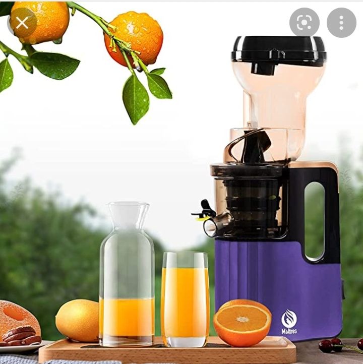 Multipurpose Cold Press Slow Juicer With Ice Cream Functions