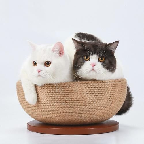 Pet Cat Toy Sisal Claw Board Bowl Scratcher Cardboard Cats Scratching Lounge Bed High Density Nail Scratcher Guard Cat Supplies