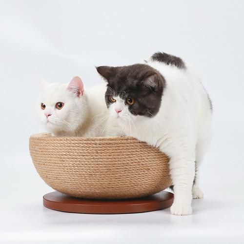 Pet Cat Toy Sisal Claw Board Bowl Scratcher Cardboard Cats Scratching Lounge Bed High Density Nail Scratcher Guard Cat Supplies