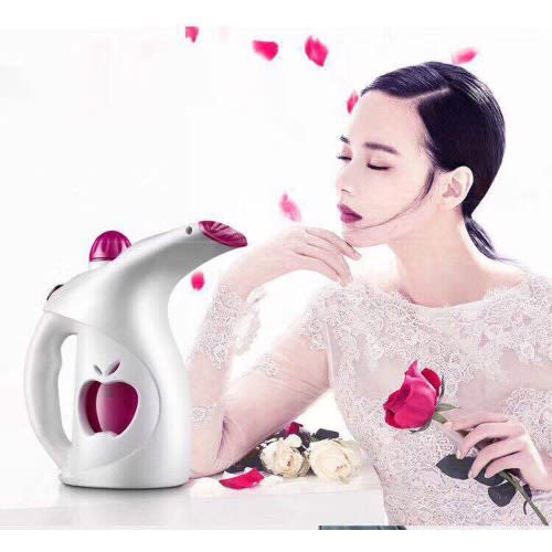 Garment + Face And Cake Decorating Steamer - 3-in-1