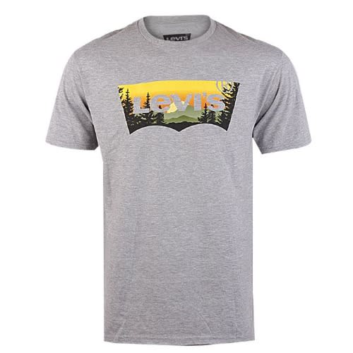 Print Crew Neck Men's T-shirt - Grey