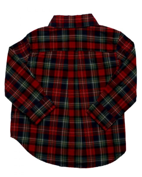 Plaid Pin - Down Polo Shirt
