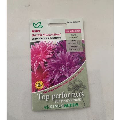 Aster-ostrich Plume Mixed Seeds -250seeds