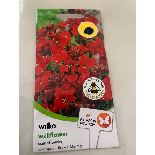 Wallflower-scarlet Bedder Seeds -500seeds