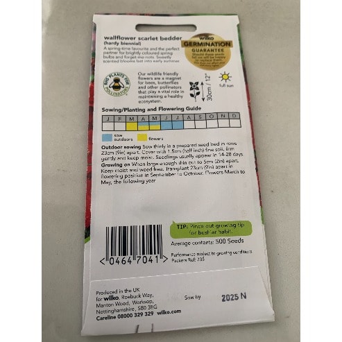 Wallflower-scarlet Bedder Seeds -500seeds