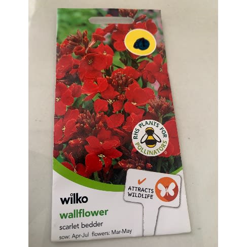 Wallflower-scarlet Bedder Seeds -500seeds