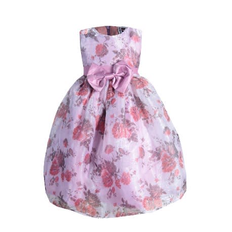 Baby Girls' Multi-colour Organza Dress
