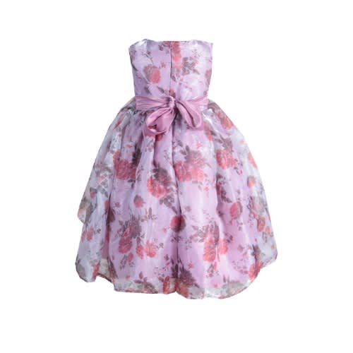 Baby Girls' Multi-colour Organza Dress
