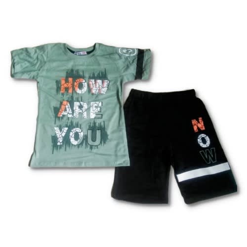 Boys Casual Tee Shirt & Shorts Set