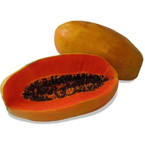 Hybrid Dwarf Papaya Seed - Maradona F1 - 100 Seeds