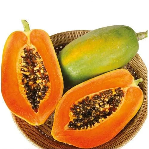 Hybrid Dwarf Papaya Seed - Maradona F1 - 100 Seeds