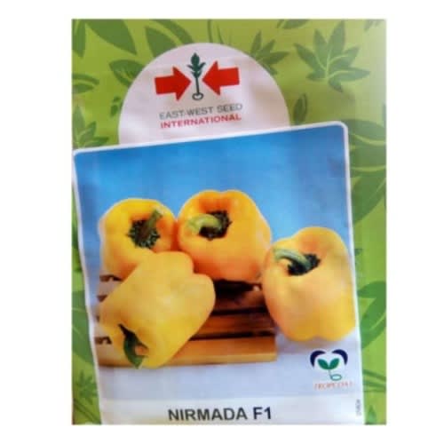Hybrid Yellow Sweet Bell Pepper Seed - Nirmanda F1 - 1000 Seeds