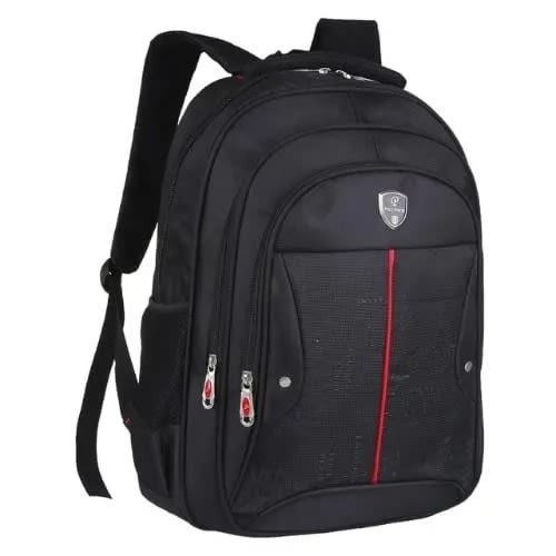 Laptop & School Backpack