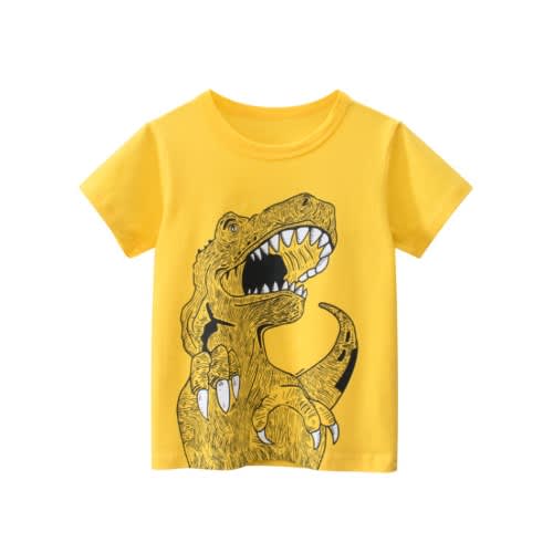 Dinosaur Print Boy Top