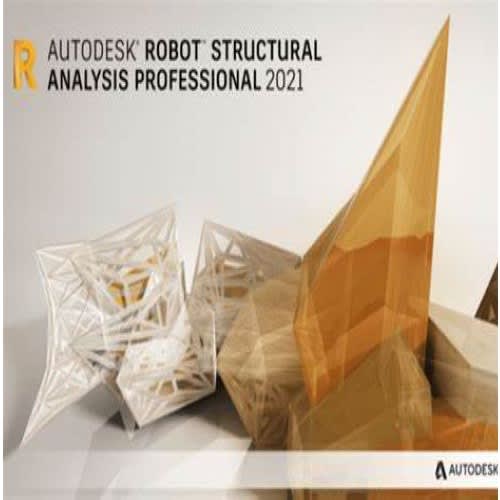 Robot Structural Analysis Professional 2021