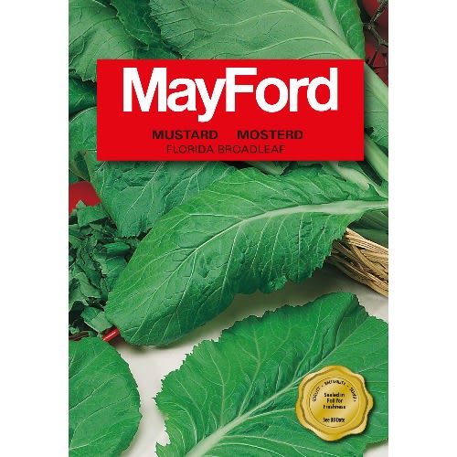 Mustard Seeds ( Florida Broadleaf) - 15g