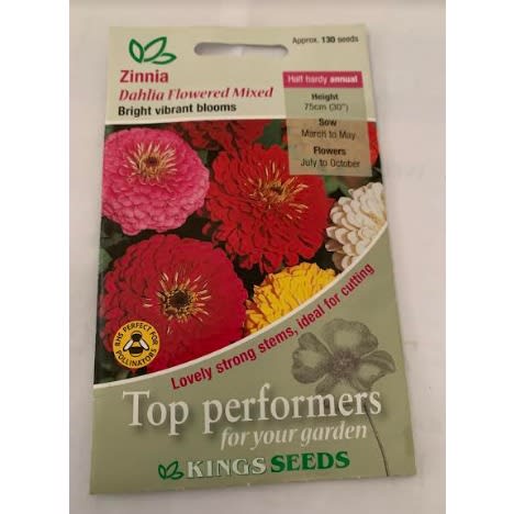 Zinnia-dahlia Flowered Mixed-130 Seeds