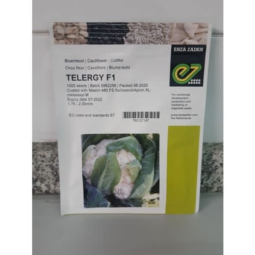 Telergy F1 Cauliflower Seeds - 1000 Seeds