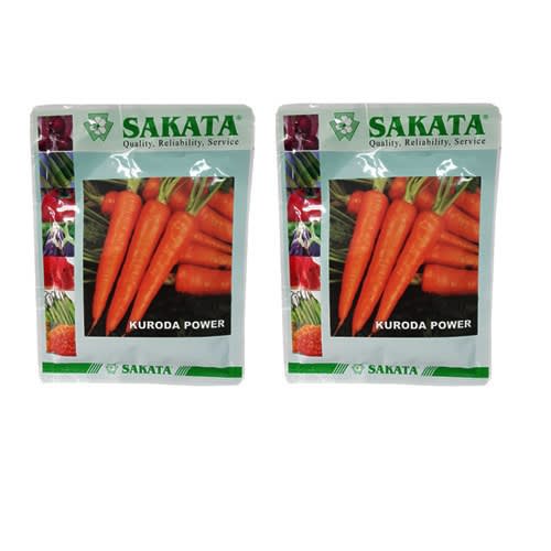 Kuroda Power Carrot Seeds -100 Grams 2 Packs