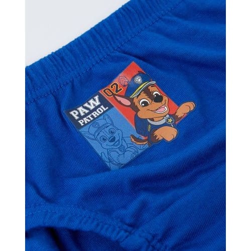 Boy's Paw Patrol Briefs- Pack Of 3