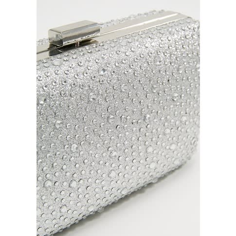 Silver Encrusted Clutch