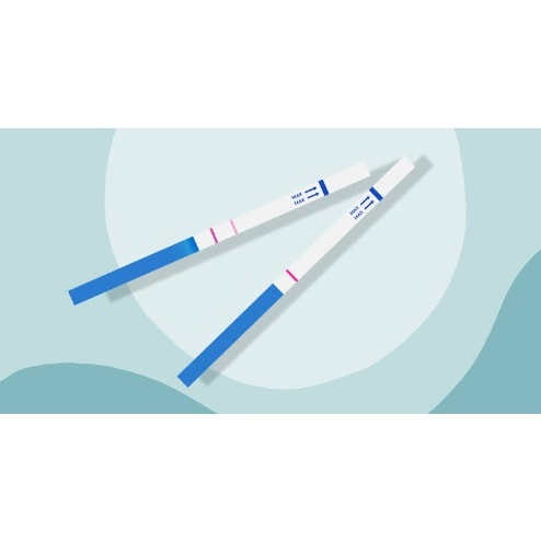 Pregnancy Test Strip