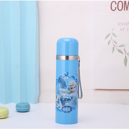 Frozen Stainless Water Flask