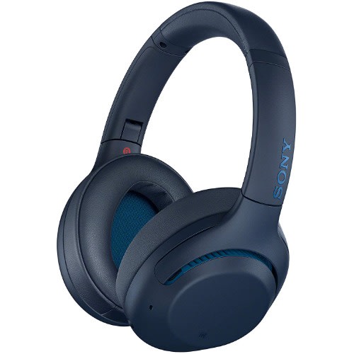 Wh-xb900n Wireless Extra Bass Noise Cancelling Headphones