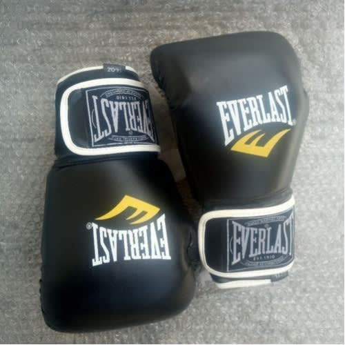 Everlast Leather Boxing Gloves