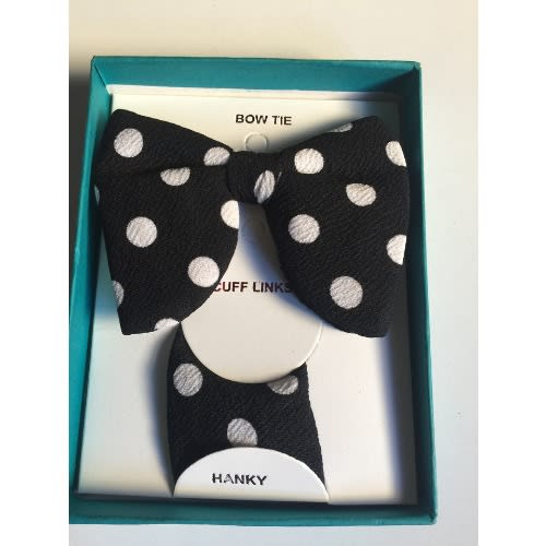 Men's Polka Dot Cute Bow Tie