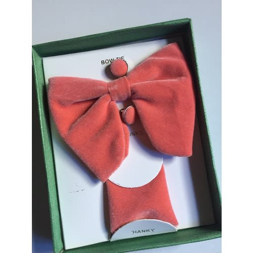 Stylish Giant Men's Bow Tie - Pink