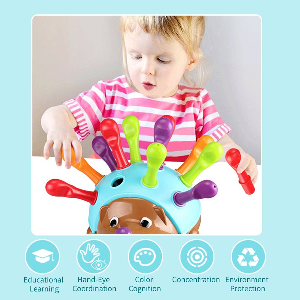 Insert Hedgehog Toy Early Education Montessori Toy Focus