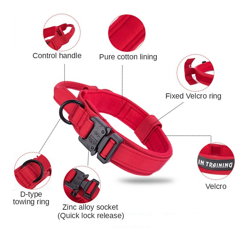 Multicolor Duarable Dog Collar Leash Nylon Adjustable Large