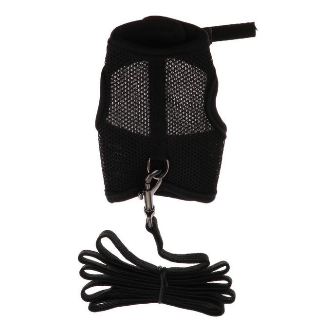 Hamster Rabbit In Pet Supplies Best Harness & Leash-Black, L Black L