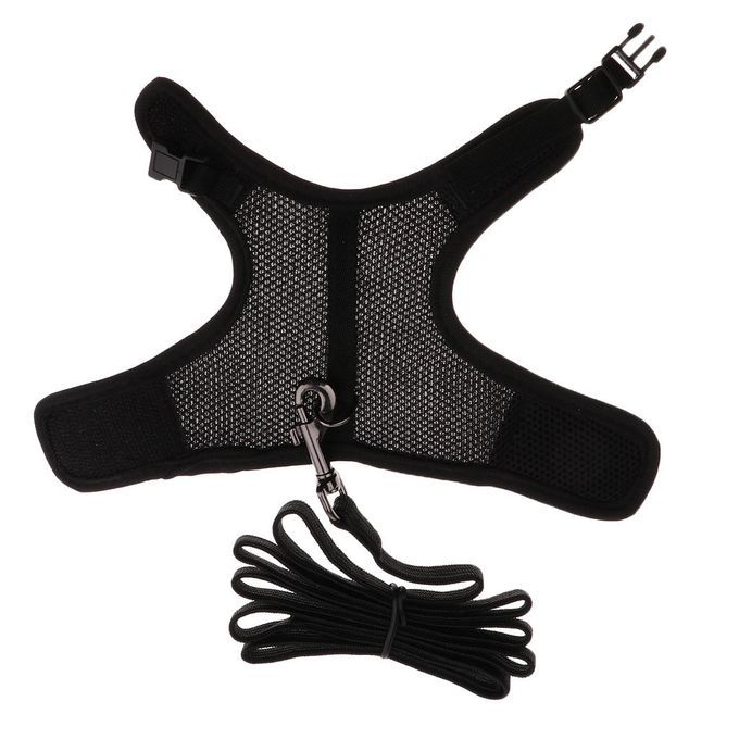 Hamster Rabbit In Pet Supplies Best Harness & Leash-Black, L Black L