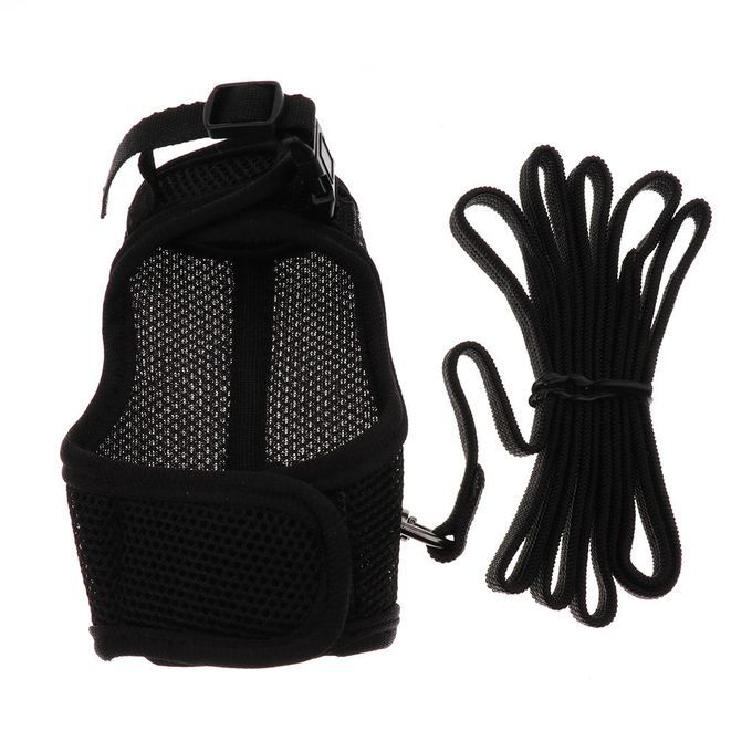 Hamster Rabbit In Pet Supplies Best Harness & Leash-Black, L Black L
