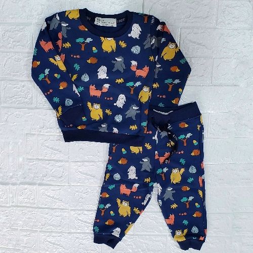 Kids Sweatshirt And Joggers Set