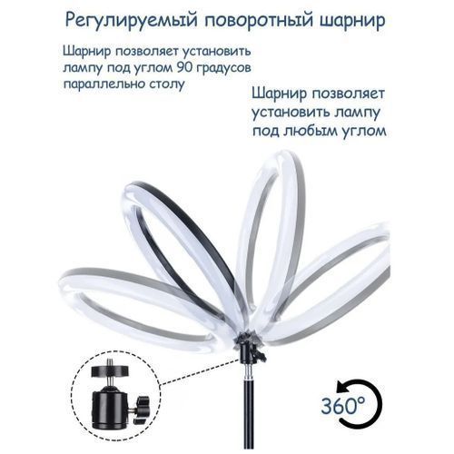12 Inch RGB Fill Light Self Photo Beauty Colorful Ring Lamp