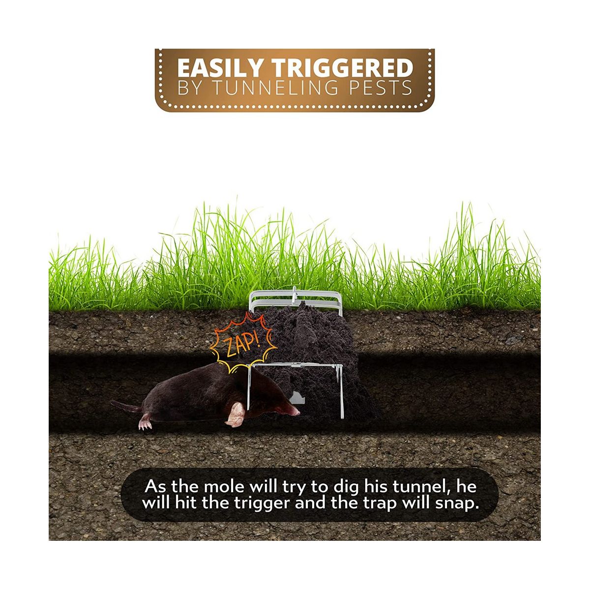 Mole Trap (Pack of 3) Powerful Trap to Catch Moles Protect